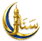 sanaquranacademy.com